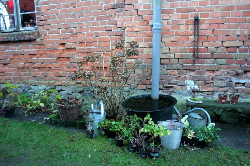 Killikus&reg; Fotographie